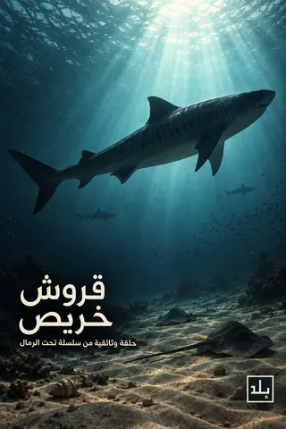 بوستر قروش خريص